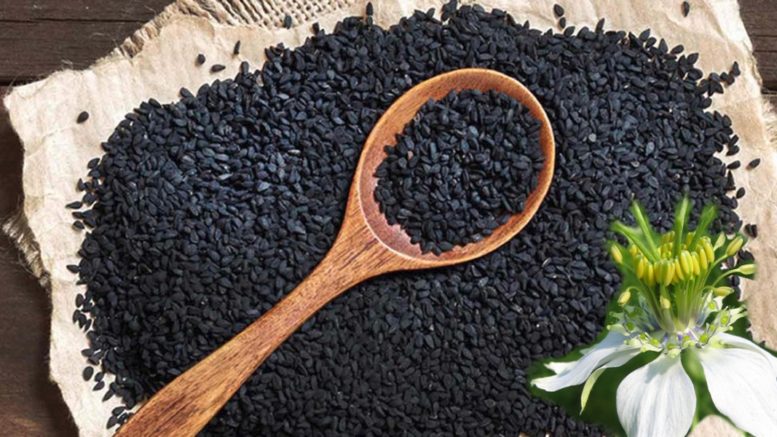 benefits of black seed oil